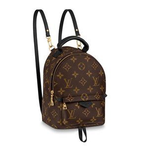 Louis Vuitton Palm Spring Mini
